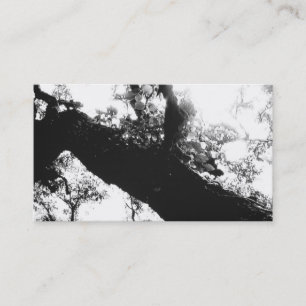 Sunlight Tree Black en White Photography Visitekaartje