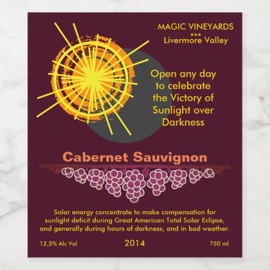 Sunlight Victory Over Darkness Celebration grappig Wijn Etiket (Enkel label)
