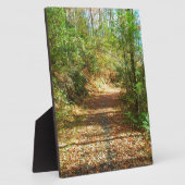 Sunlit Autumn Forest Trail Fotoplaat (Zijkant)