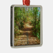Sunlit Autumn Forest Trail Metalen Ornament (Rechts)