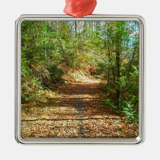 Sunlit Autumn Forest Trail Metalen Ornament (Voorkant)