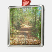 Sunlit Autumn Forest Trail Metalen Ornament (Links)