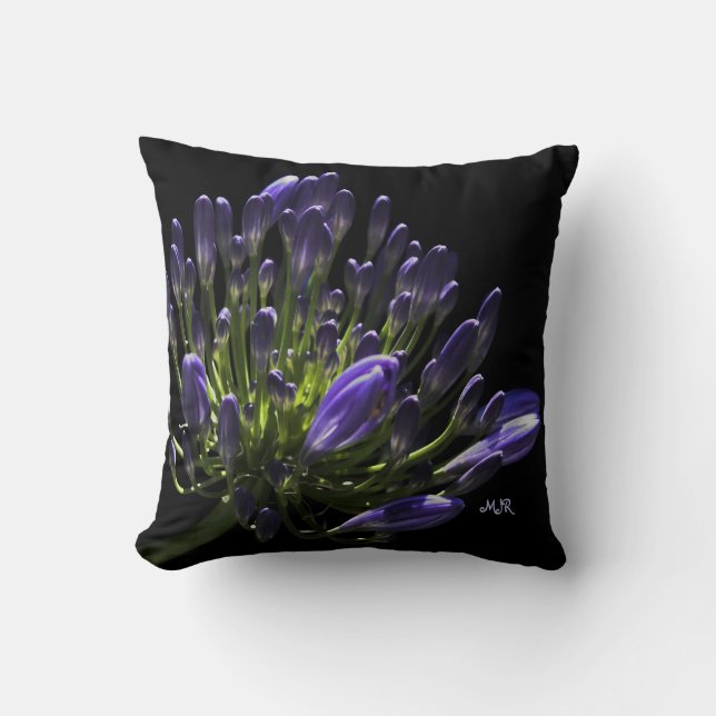 Sunlit Blooming Paars Agapanthus, Afrikaanse Lily Kussen (Voorkant)