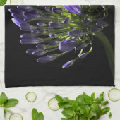 Sunlit Blooming Paars Agapanthus, Afrikaanse Lily Theedoek (Gevouwen)