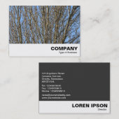 Sunlit Branches Visitekaartje (Voorkant / Achterkant)