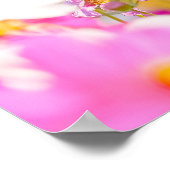 Sunlit Chorus of Pink Poster (Hoek)