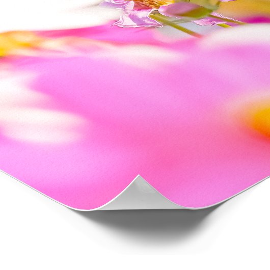 Sunlit Chorus of Pink Poster (Hoek)