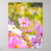 Sunlit Chorus of Pink Poster (Voorkant)