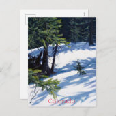 Sunlit Colorado Mountain Snow Scene Feestdagenkaart (Voorkant / Achterkant)