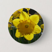 Sunlit Daffodil Ronde Button 5,7 Cm (Voorkant)