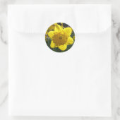 Sunlit Daffodil Ronde Sticker (Tas)