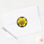Sunlit Daffodil Ronde Sticker (Envelop)