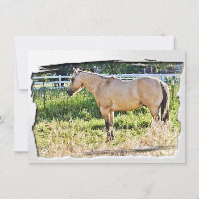 Sunlit Dappled Morning w / wit Lijst (Voorkant)