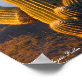 Sunlit Desert Saguaro Poster (Hoek)