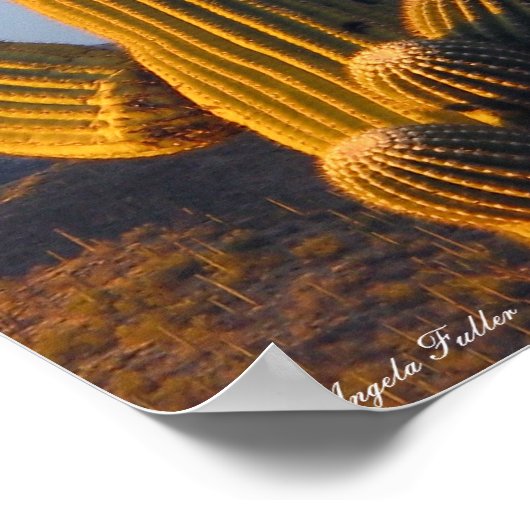 Sunlit Desert Saguaro Poster (Hoek)