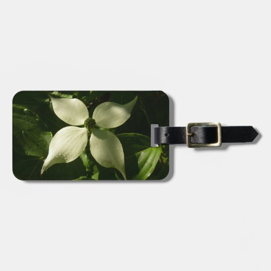 Sunlit Dogwood Blossom Spring Floral Bagagelabel (Voorkant horizontaal)