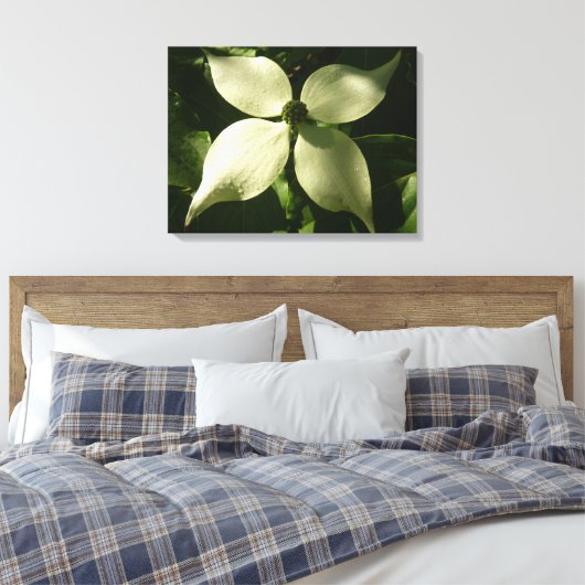 Sunlit Dogwood Blossom Spring Floral Canvas Afdruk (Insitu (Slaapkamer))