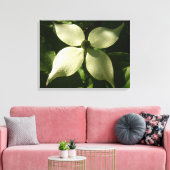 Sunlit Dogwood Blossom Spring Floral Canvas Afdruk (Insitu (Woonkamer))
