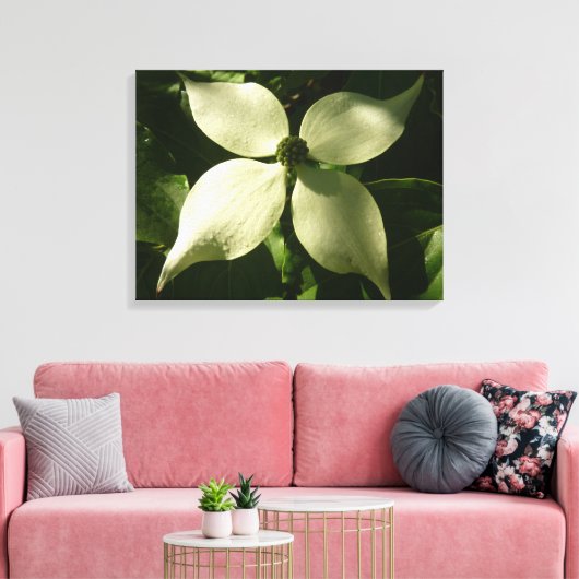Sunlit Dogwood Blossom Spring Floral Canvas Afdruk (Insitu (Woonkamer))