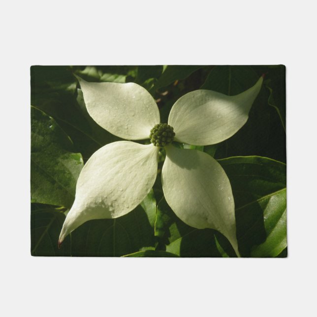 Sunlit Dogwood Blossom Spring Floral Deurmat (Voorkant)