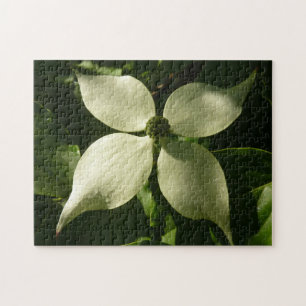 Sunlit Dogwood Blossom Spring Floral Legpuzzel
