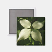 Sunlit Dogwood Blossom Spring Floral Magneet (Voorkant / Achterkant)