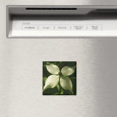 Sunlit Dogwood Blossom Spring Floral Magneet (Insitu (Vaatwasser))