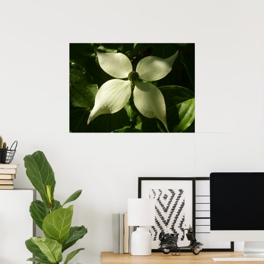 Sunlit Dogwood Blossom Spring Floral Poster (Thuiskantoor)