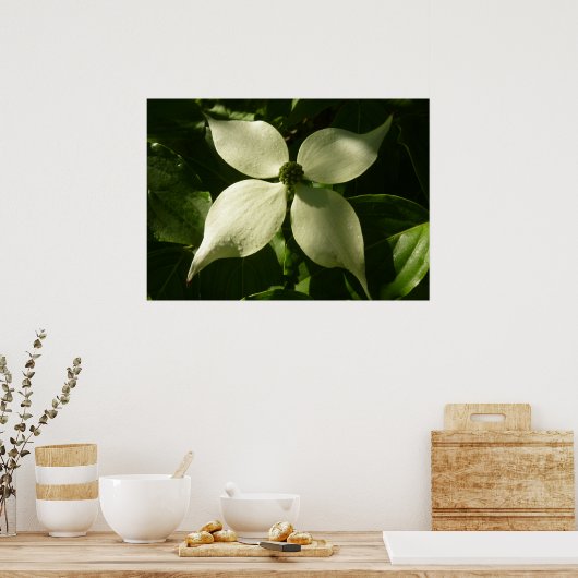 Sunlit Dogwood Blossom Spring Floral Poster (Keuken)