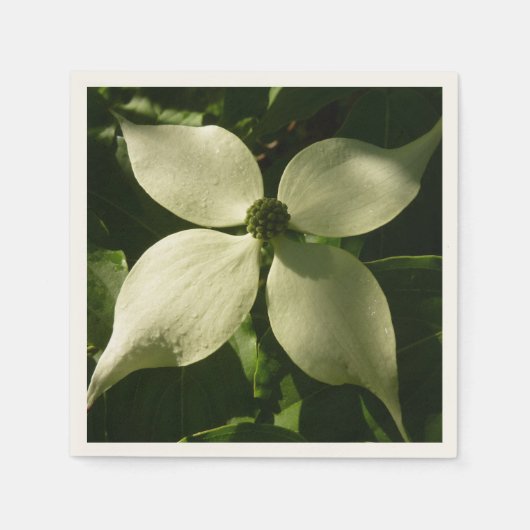 Sunlit Dogwood Blossom Spring Floral Servet (Voorkant)