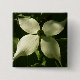 Sunlit Dogwood Blossom Spring Floral Vierkante Button 5,1 Cm