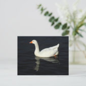 Sunlit Emden Goose Briefkaart (Staand voorkant)