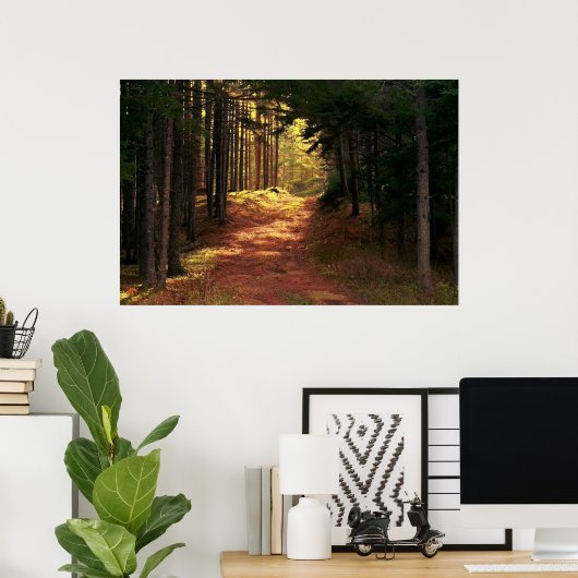 Sunlit Forest Path Poster (Thuiskantoor)