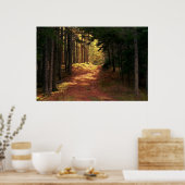 Sunlit Forest Path Poster (Keuken)