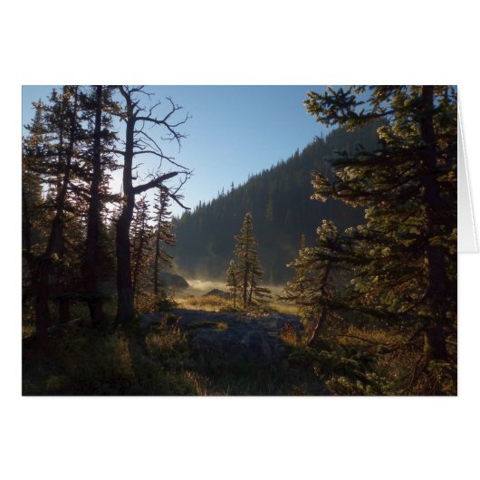 Sunlit Frosted Pine Trees at Dream Lake (Voorkant Horizontaal)