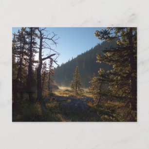 Sunlit Frosted Pine Trees at Dream Lake Briefkaart