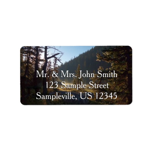 Sunlit Frosted Pine Trees at Dream Lake Etiket (Voorkant)