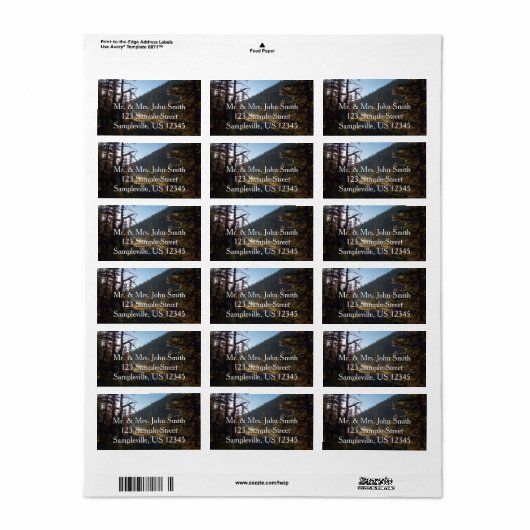 Sunlit Frosted Pine Trees at Dream Lake Etiket (Full Sheet)