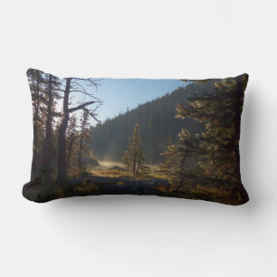 Sunlit Frosted Pine Trees at Dream Lake Kussen