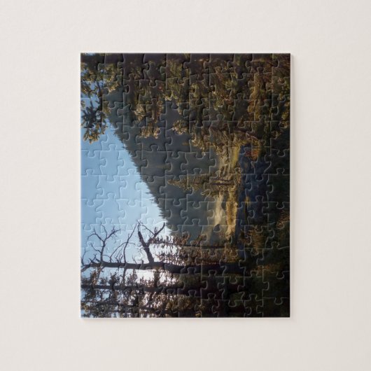 Sunlit Frosted Pine Trees at Dream Lake Legpuzzel (Verticaal)