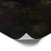 Sunlit Frosted Pine Trees at Dream Lake Poster (Hoek)