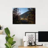 Sunlit Frosted Pine Trees at Dream Lake Poster (Thuiskantoor)
