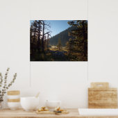 Sunlit Frosted Pine Trees at Dream Lake Poster (Keuken)