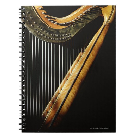 Sunlit Harp Notitieboek (Voorkant)