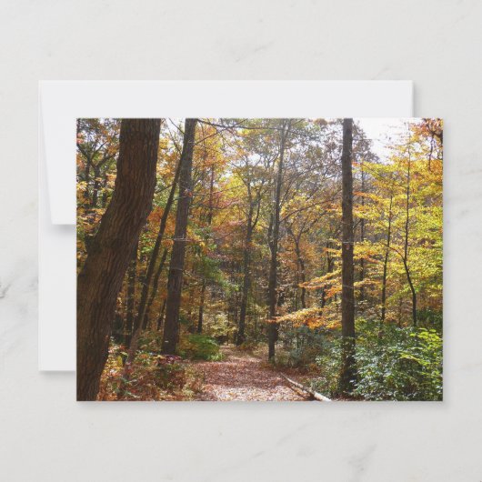 Sunlit Herfst Trail in Laurel Hill State Park (Voorkant)