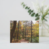 Sunlit Herfst Trail in Laurel Hill State Park (Staand voorkant)