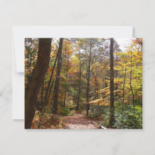 Sunlit Herfst Trail in Laurel Hill State Park