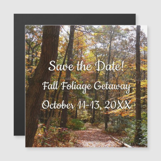 Sunlit Herfst Trail in Laurel Hill State Park (Voorkant / Achterkant)