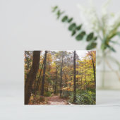 Sunlit Herfst Trail in Laurel Hill State Park Briefkaart (Staand voorkant)