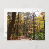 Sunlit Herfst Trail in Laurel Hill State Park Briefkaart (Voorkant / Achterkant)